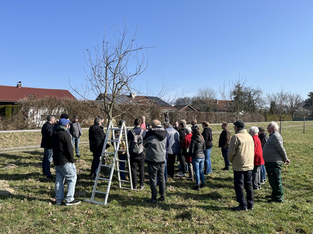 Obstbaumschnittkurs 2026